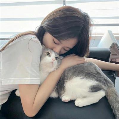 医学之旅