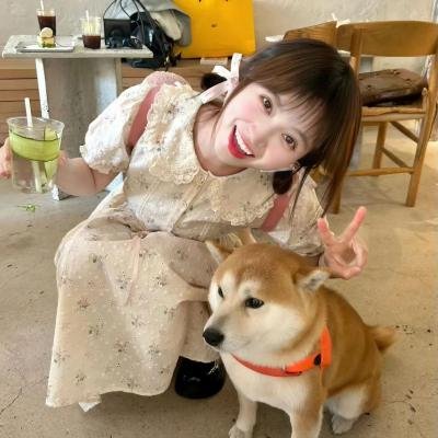 动物狂想曲第二季